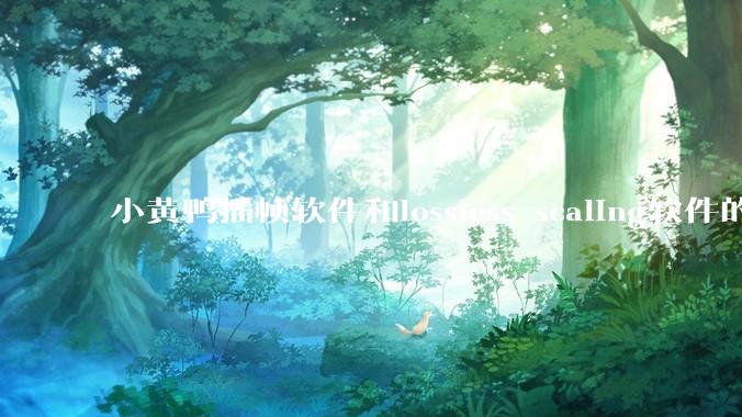 小黄鸭插帧软件和lossless scaling软件的使用体验如何，有哪些使用技巧呢？