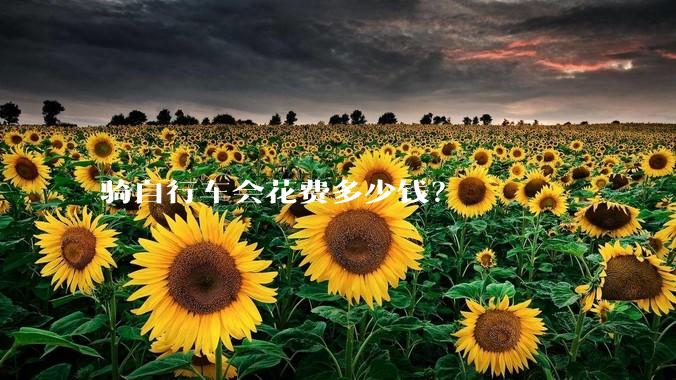 骑自行车会花费多少钱？