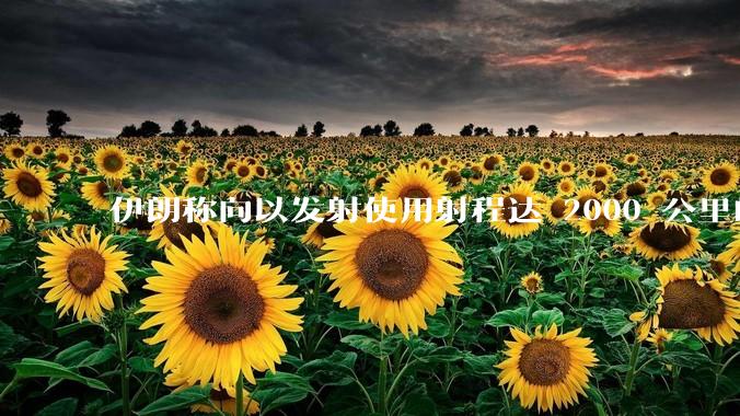 伊朗称向以发射使用射程达 2000 公里的「泥石」地对地弹道导弹，其威力有多大？