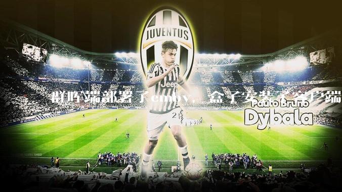 群晖端部署了emby，盒子安装了客户端播放蓝光电影为什么不能显示影片自带字幕？