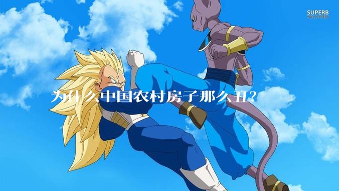 为什么中国农村房子那么丑？