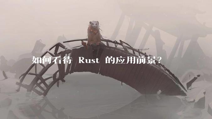 如何看待 Rust 的应用前景？