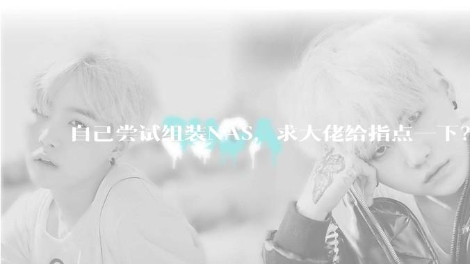 自己尝试组装NAS，求大佬给指点一下？