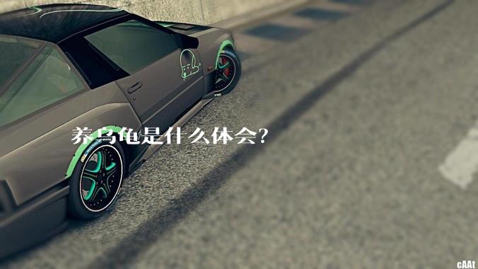 养乌龟是什么体会？